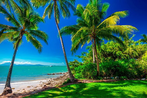 SHUTTLE - Port Douglas And Craiglie Return Transfer - Attractions Perth 2