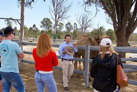 Camel Farm Tour And Taste Near Brisbane - Attractions Perth 5