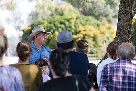 Camel Farm Tour And Taste Near Brisbane - Attractions Perth 4