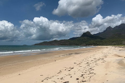 Hinchinbrook Island Tour - Attractions Perth 3