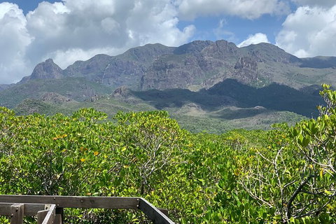 Hinchinbrook Island Tour - Attractions Perth 0