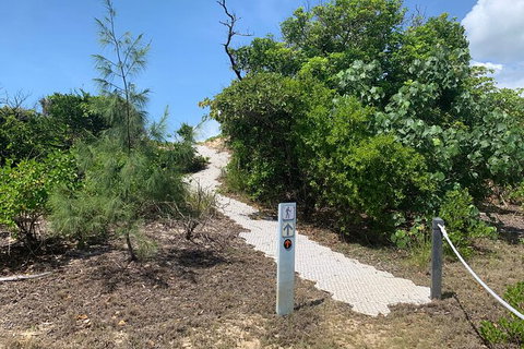 Hinchinbrook Island Tour - Attractions Perth 1