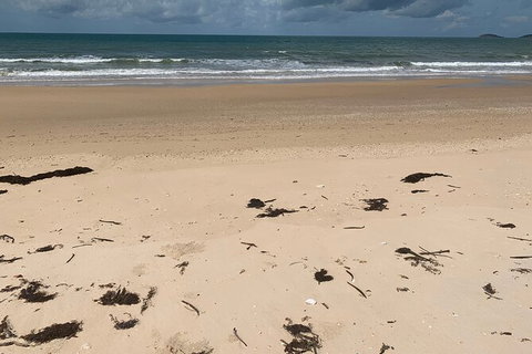 Hinchinbrook Island Tour - Attractions Perth 6
