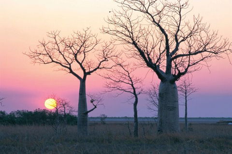 8-Day Outback Experience From Queensland - Attractions Perth 0