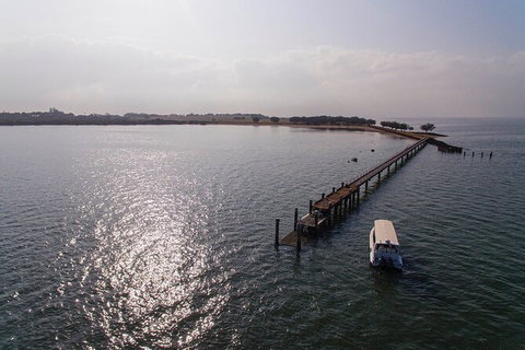 Half Day St. Helena Island Tour - Attractions Perth 4