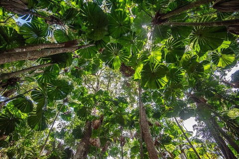 5 Day Australia Retreat: Queensland Daintree - Attractions Perth 4