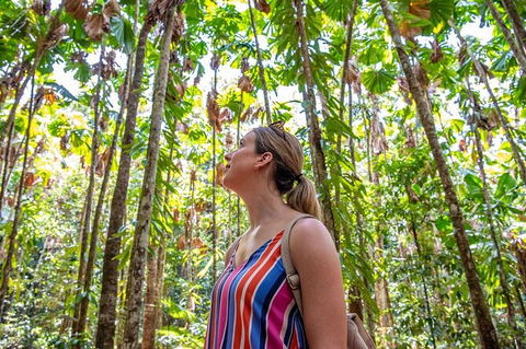5 Day Australia Retreat: Queensland Daintree - Attractions Perth 3