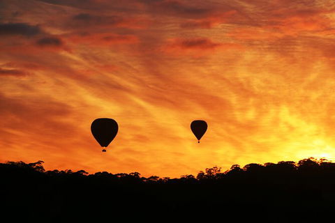 Barossa Valley Hot Air Balloon Ride With Breakfast - Attractions Perth 5