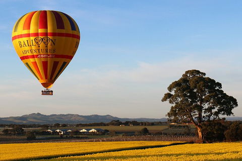 Barossa Valley Hot Air Balloon Ride With Breakfast - Attractions Perth 4