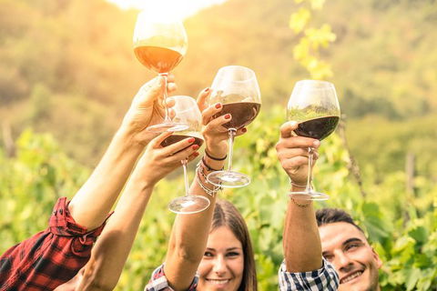 Barossa Valley Cellar Doors Luxury Wine Tour - Attractions Perth 3