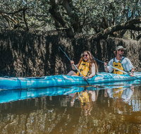 Kayak Tour in Adelaide Dolphin Sanctuary