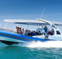 Seal Island Boat Tour from Victor Harbor