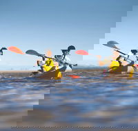 Kangaroo Island Self-Guided Kayaking on the Harriet River - Attractions Perth