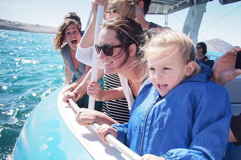 Southern Ocean Adventure From Victor Harbor - Attractions Perth 1