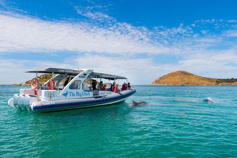 Southern Ocean Adventure From Victor Harbor - Attractions Perth 5