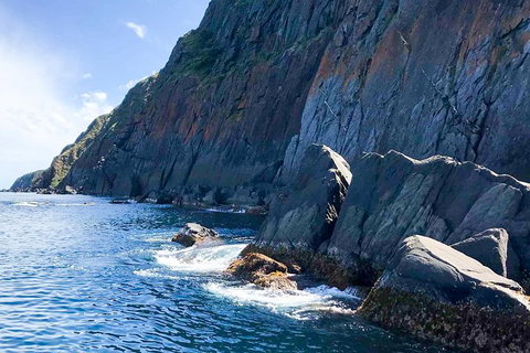 Southern Ocean Adventure From Victor Harbor - Attractions Perth 8