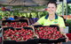 Adelaide Showground Farmers\' Market Tour - thumb 2