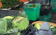 Adelaide Showground Farmers\\\\\\\' Market Tour - thumb 1