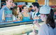 Adelaide Showground Farmers\\\\\\\' Market Tour - thumb 5