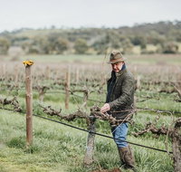 Armagh Vineyard Exclusive wine experience and lunch - Attractions Perth