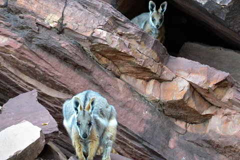 3 Day Flinders Ranges Outback Tour - Attractions Perth 3