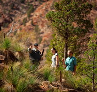 3-Night Wilpena Pound Getaway Including Scenic Flight and 4WD Tour - Attractions Perth