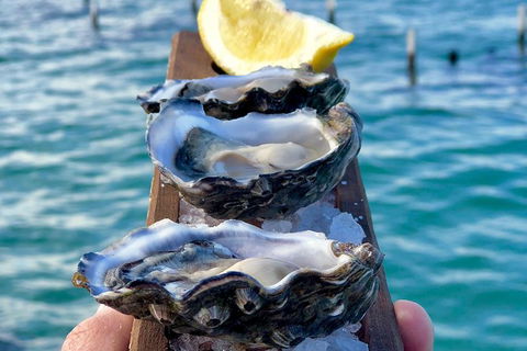 Coffin Bay Oysters, Ocean & Nature Tour - Attractions Perth 0