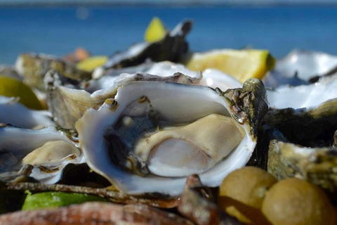 Coffin Bay Oysters, Ocean & Nature Tour - Attractions Perth 8