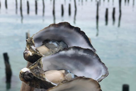 Coffin Bay Oysters, Ocean & Nature Tour - Attractions Perth 6