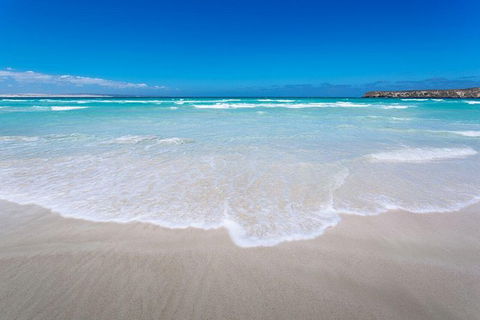 Coffin Bay Oysters, Ocean & Nature Tour - Attractions Perth 14