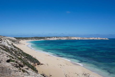 Coffin Bay Oysters, Ocean & Nature Tour - Attractions Perth 16