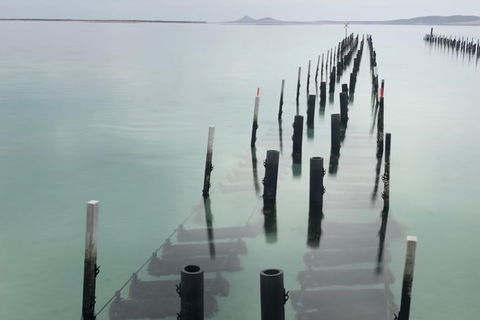 Coffin Bay Oysters, Ocean & Nature Tour - Attractions Perth 15