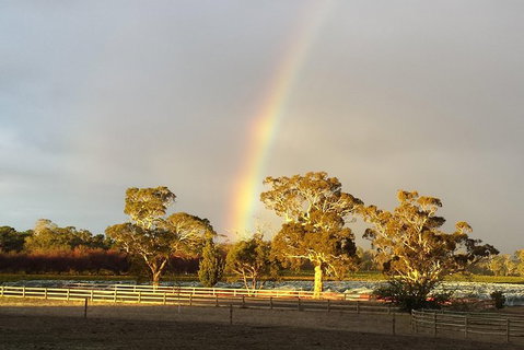 Structured Wine Tasting And Platter - Attractions Perth 3