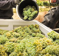 Adelaide Hills Wineries  Hahndorf - Attractions Perth
