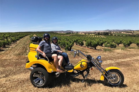 Ultimate Barossa Adventure Day Tour For 2 - Combined Mustang Convertible-Trike - Attractions Perth 3