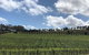 Intimate Wine Experience - Adelaide Hills - thumb 10