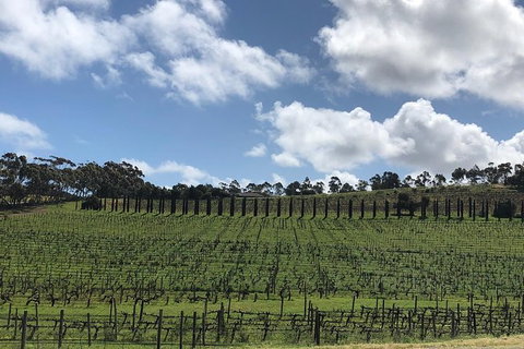 Intimate Wine Experience - Adelaide Hills - Attractions Perth 10
