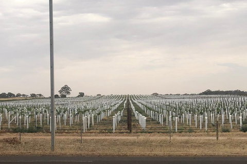 Intimate Wine Experience - Adelaide Hills - Attractions Perth 7