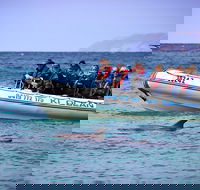 Kangaroo Island 75-Minute Ocean Safari - Attractions Perth