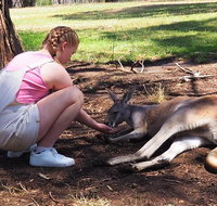 Adelaide Driving Tour - Attractions Perth