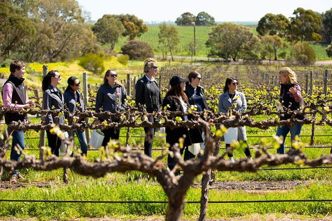Walk, Taste, Graze - Experience At Pindarie - Attractions Perth 2
