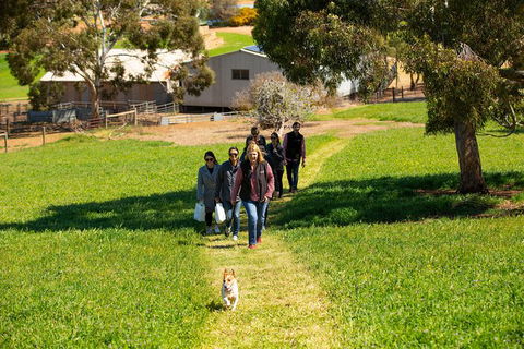 Walk, Taste, Graze - Experience At Pindarie - Attractions Perth 7