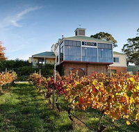 Adelaide Hills Full Day Winery Tour with Tastings - Attractions Perth