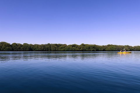 Dolphin Sanctuary Kayaking In Adelaide - Attractions Perth 2
