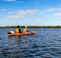 Dolphin Sanctuary Kayaking in Adelaide - Attractions Perth