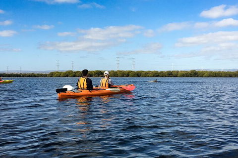 Dolphin Sanctuary Kayaking In Adelaide - Attractions Perth 0
