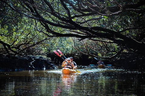 Dolphin Sanctuary Kayaking In Adelaide - Attractions Perth 4
