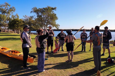 Dolphin Sanctuary Kayaking In Adelaide - Attractions Perth 6
