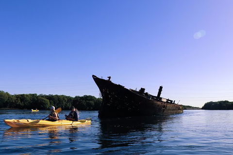Dolphin Sanctuary Kayaking In Adelaide - Attractions Perth 5