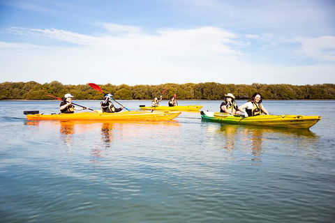 Dolphin Sanctuary Kayaking In Adelaide - Attractions Perth 1